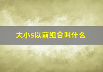 大小s以前组合叫什么