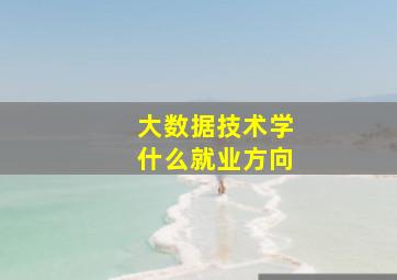 大数据技术学什么就业方向