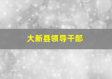 大新县领导干部