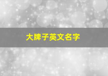 大牌子英文名字