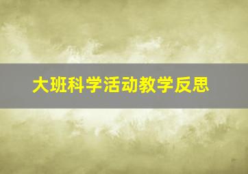 大班科学活动教学反思