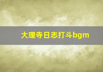 大理寺日志打斗bgm