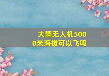 大疆无人机5000米海拔可以飞吗