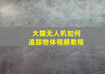 大疆无人机如何追踪物体视频教程