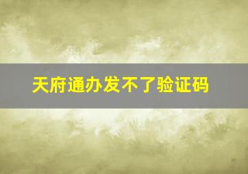 天府通办发不了验证码