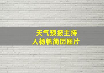 天气预报主持人杨帆简历图片