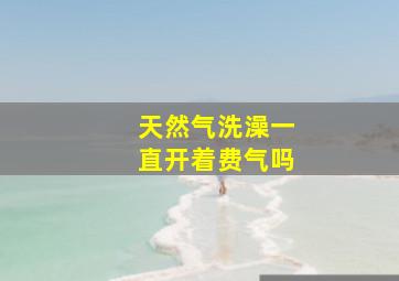 天然气洗澡一直开着费气吗