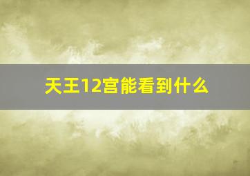 天王12宫能看到什么