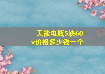 天能电瓶5块60v价格多少钱一个