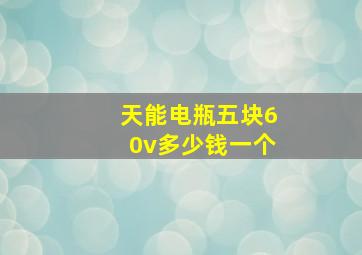 天能电瓶五块60v多少钱一个