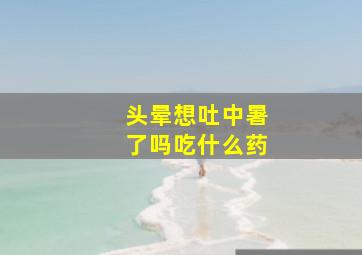 头晕想吐中暑了吗吃什么药