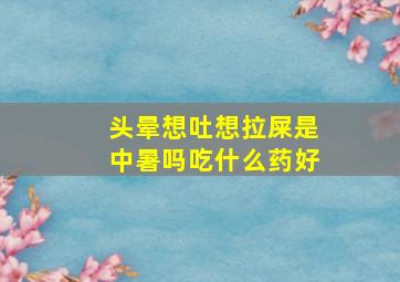 头晕想吐想拉屎是中暑吗吃什么药好