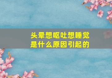 头晕想呕吐想睡觉是什么原因引起的