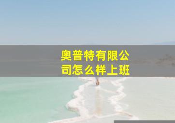 奥普特有限公司怎么样上班