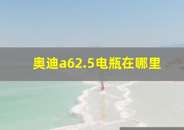 奥迪a62.5电瓶在哪里