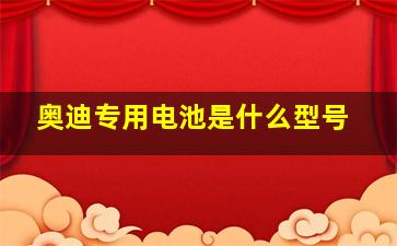 奥迪专用电池是什么型号