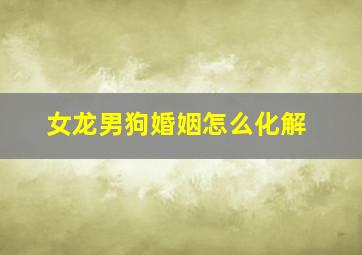 女龙男狗婚姻怎么化解