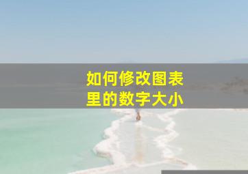 如何修改图表里的数字大小