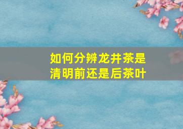 如何分辨龙井茶是清明前还是后茶叶