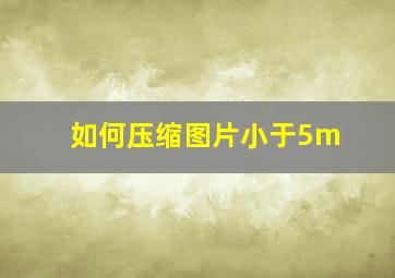 如何压缩图片小于5m