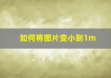 如何将图片变小到1m