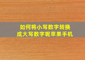 如何将小写数字转换成大写数字呢苹果手机