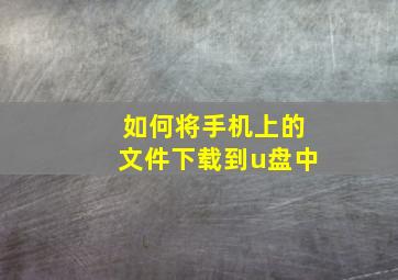 如何将手机上的文件下载到u盘中