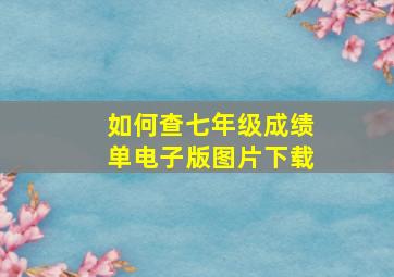 如何查七年级成绩单电子版图片下载