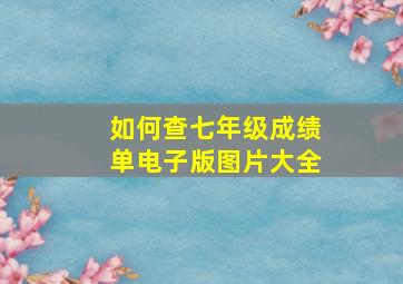 如何查七年级成绩单电子版图片大全