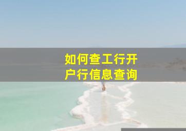 如何查工行开户行信息查询