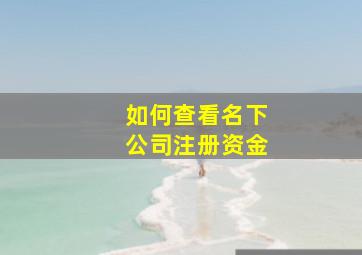 如何查看名下公司注册资金