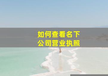 如何查看名下公司营业执照