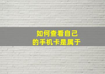 如何查看自己的手机卡是属于