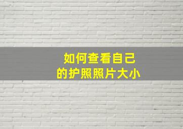 如何查看自己的护照照片大小