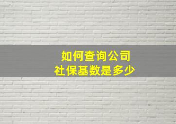 如何查询公司社保基数是多少