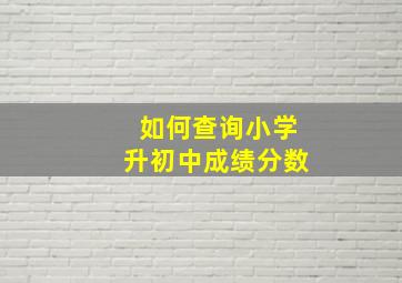 如何查询小学升初中成绩分数