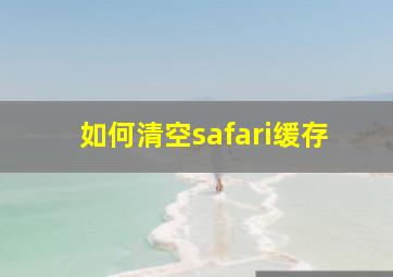 如何清空safari缓存