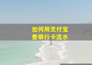 如何用支付宝查银行卡流水