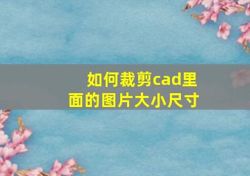 如何裁剪cad里面的图片大小尺寸