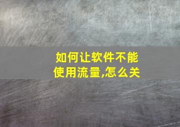 如何让软件不能使用流量,怎么关