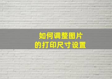 如何调整图片的打印尺寸设置