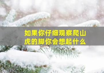 如果你仔细观察爬山虎的脚你会想起什么