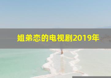 姐弟恋的电视剧2019年