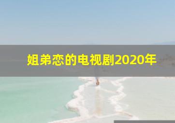 姐弟恋的电视剧2020年