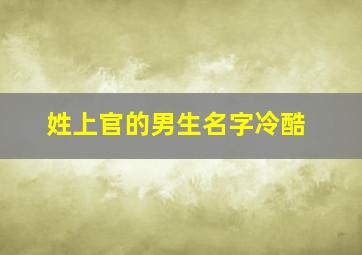 姓上官的男生名字冷酷