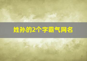 姓孙的2个字霸气网名