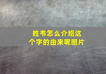 姓韦怎么介绍这个字的由来呢图片