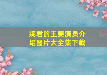 婉君的主要演员介绍图片大全集下载