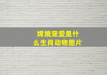 嫦娥宠爱是什么生肖动物图片