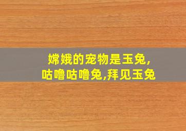 嫦娥的宠物是玉兔,咕噜咕噜兔,拜见玉兔